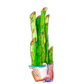 bamboo