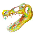 rex skull