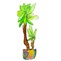 small double tree