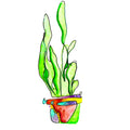 snake plant