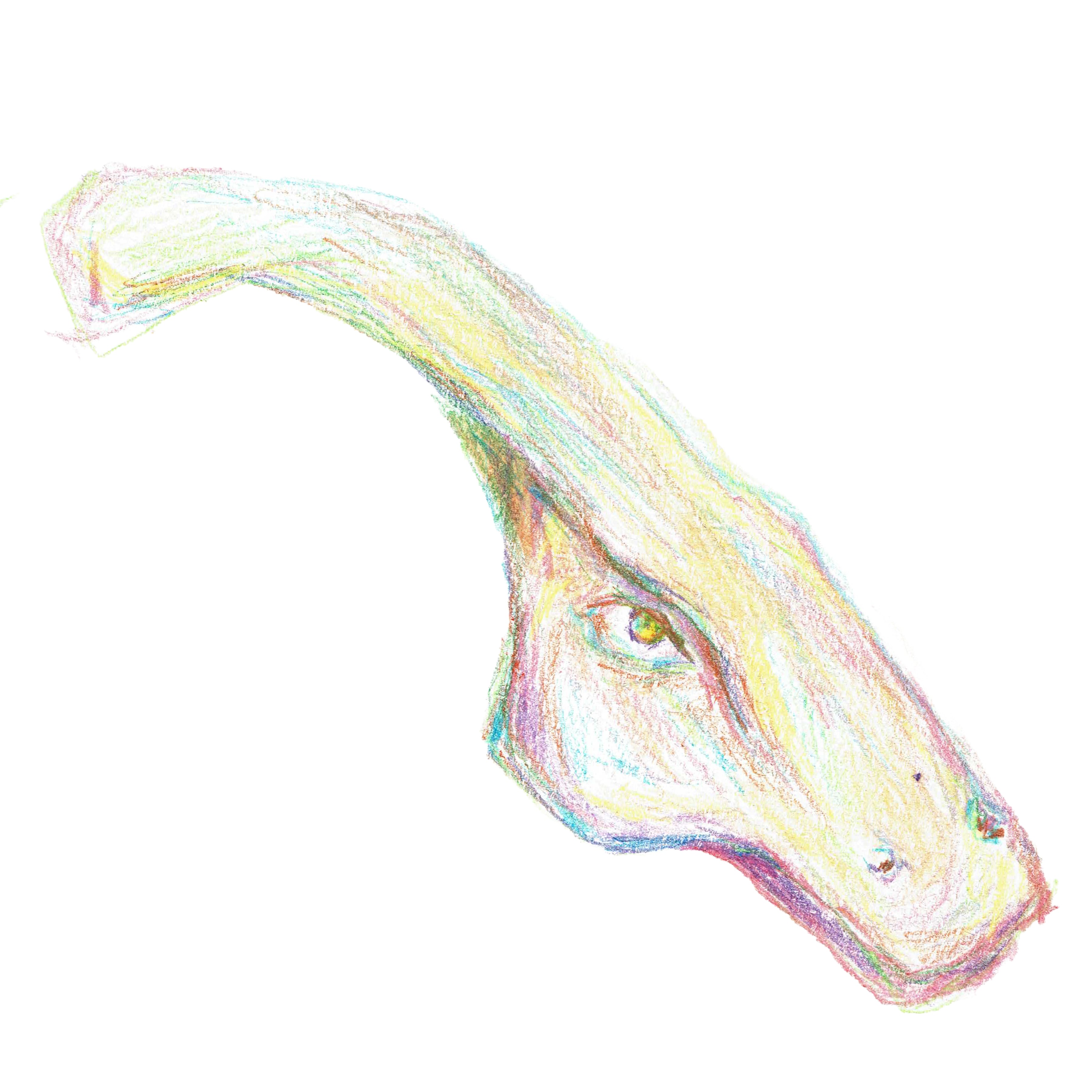 parasaurolophus head
