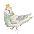 pigeon