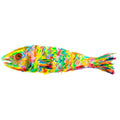 rainbow fish