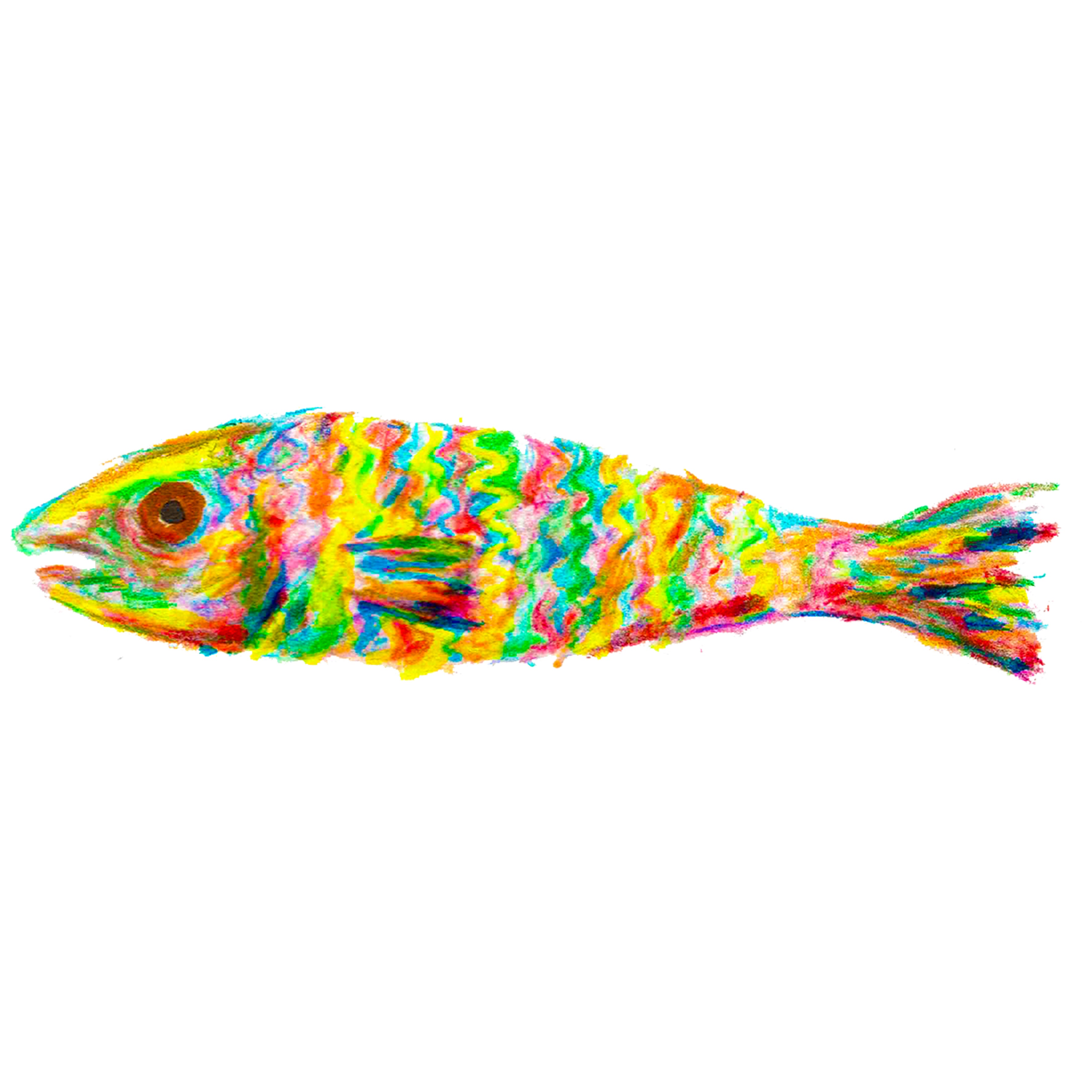 rainbow fish